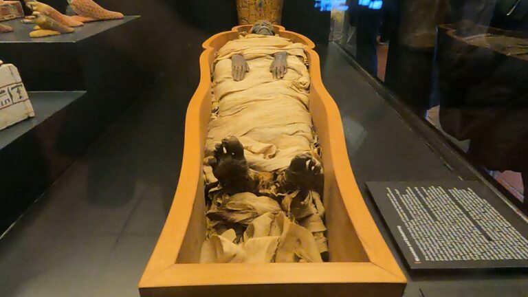 Momia egipcia, museos Vaticanos, Roma