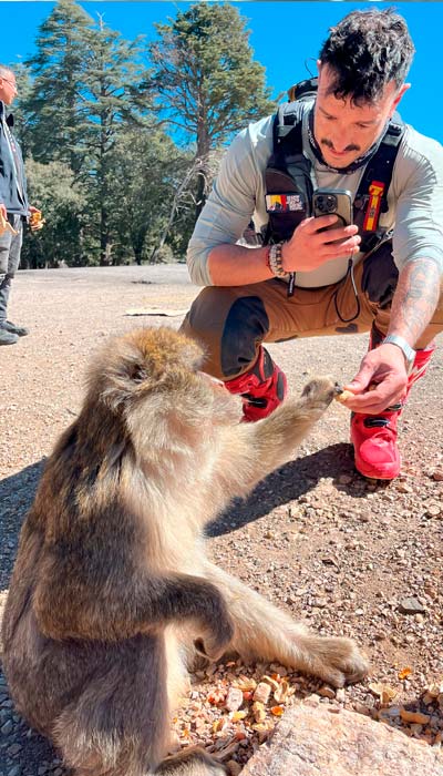 Integrante del grupo agachándose para ofrecer comida a un mono en el bosque de cedros, el Atlas, Marruecos