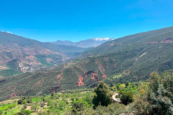 Vista del valle repleto de vegetación a los pies del Atlas, Marruecos